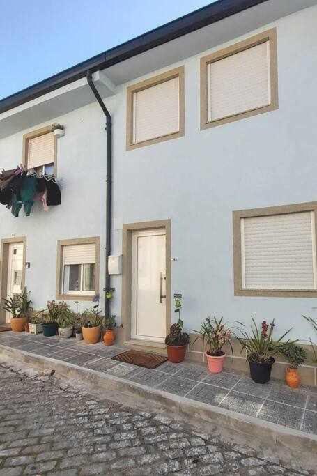 Alto Da Lapa Luxury House Free 1 Parking Place Porto Eksteriør bilde